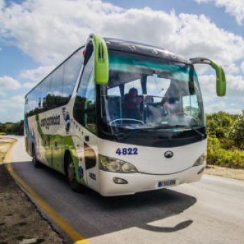 velseg-onibus_03